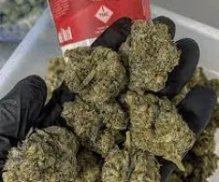 BEST QUALITY OCTANE OG, CALI WEED ON PROMO